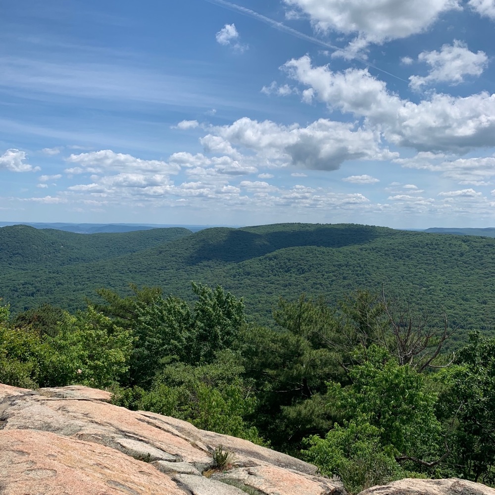 Meet your Posher, Pablo